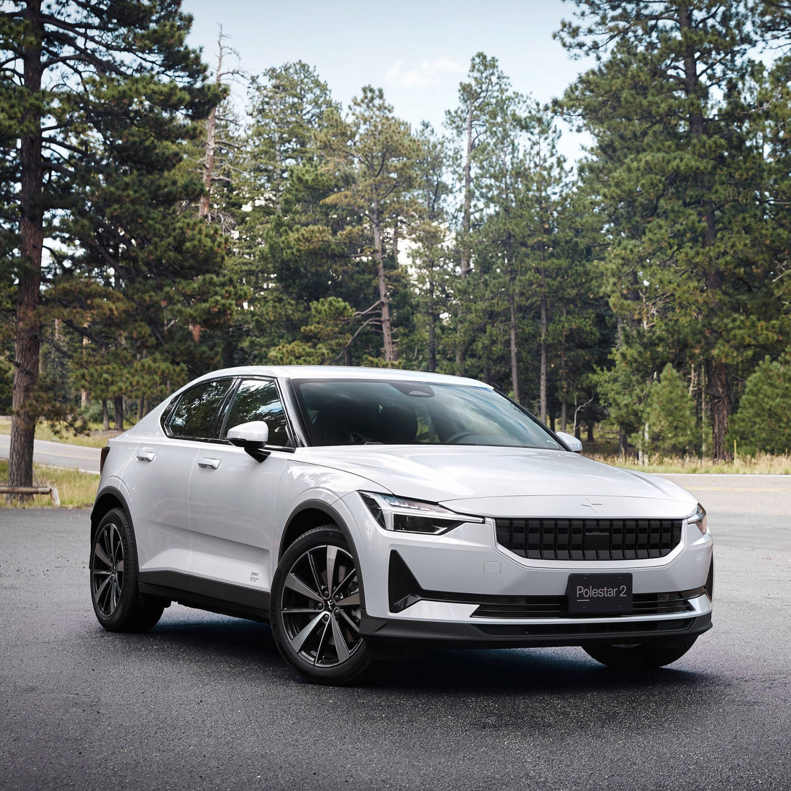 Polestar 2 At A Forest Wallpaper