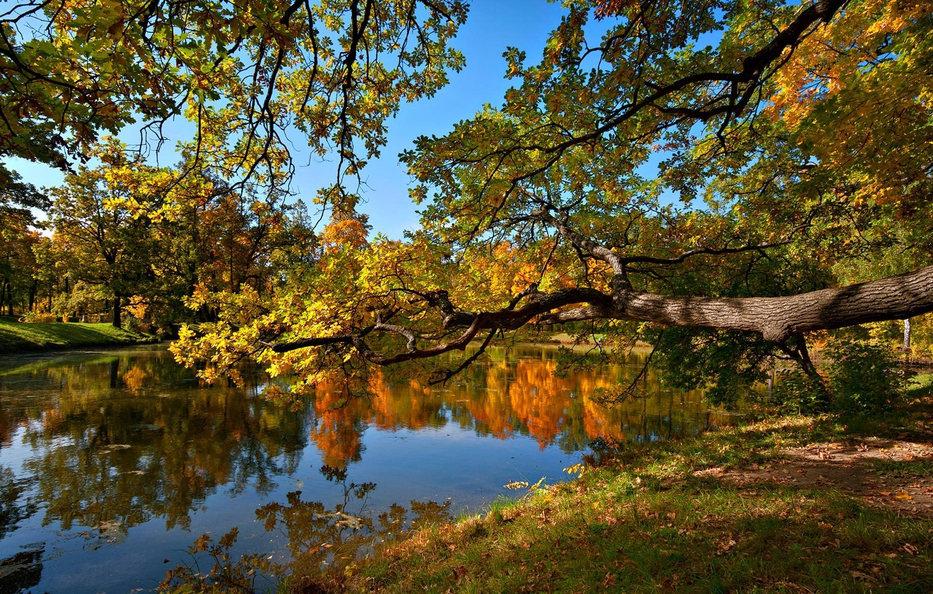 Pond Landscape In Fall Wallpaper