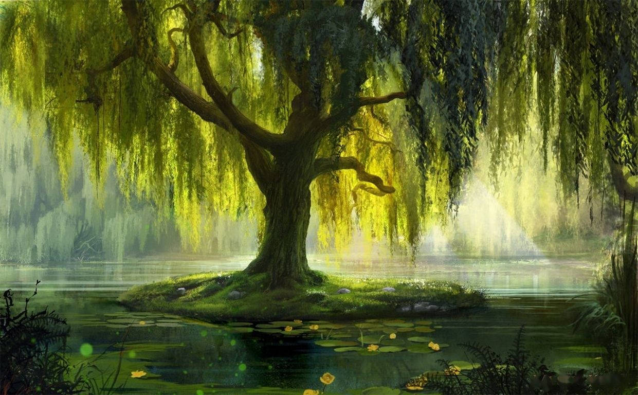 Pond Willow Tree Art Wallpaper