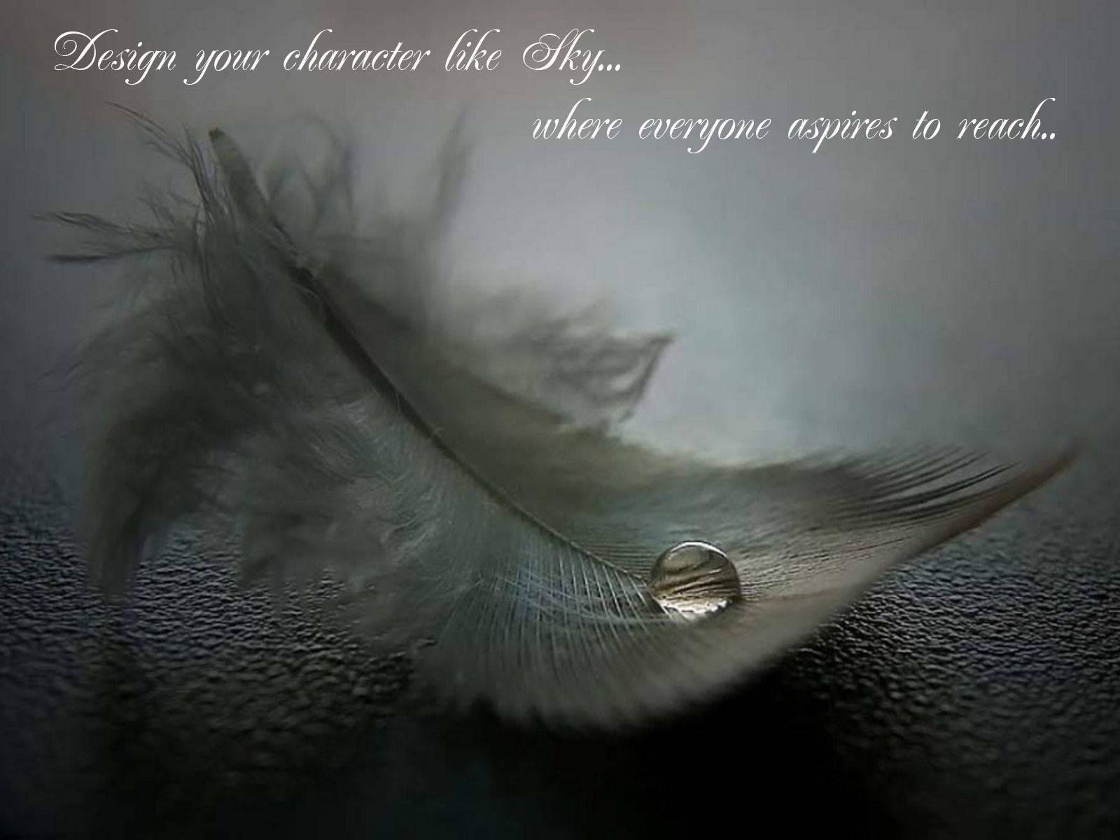 Positive Motivation Feather Wallpaper