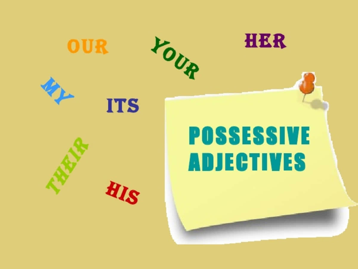 Possessive Adjectives Educational Graphic Wallpaper