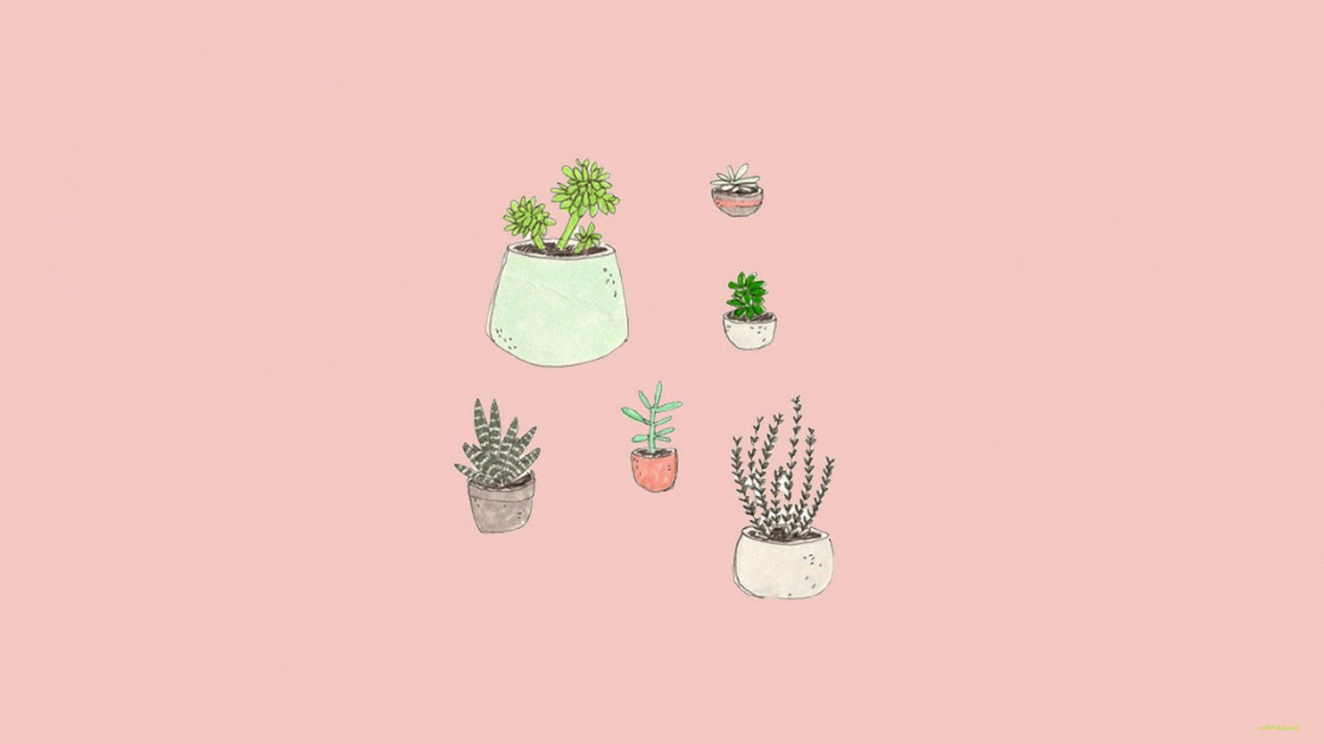 Potted Plants Simple Aesthetic Wallpaper