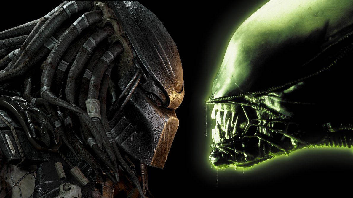 Predator Versus Alien Wallpaper