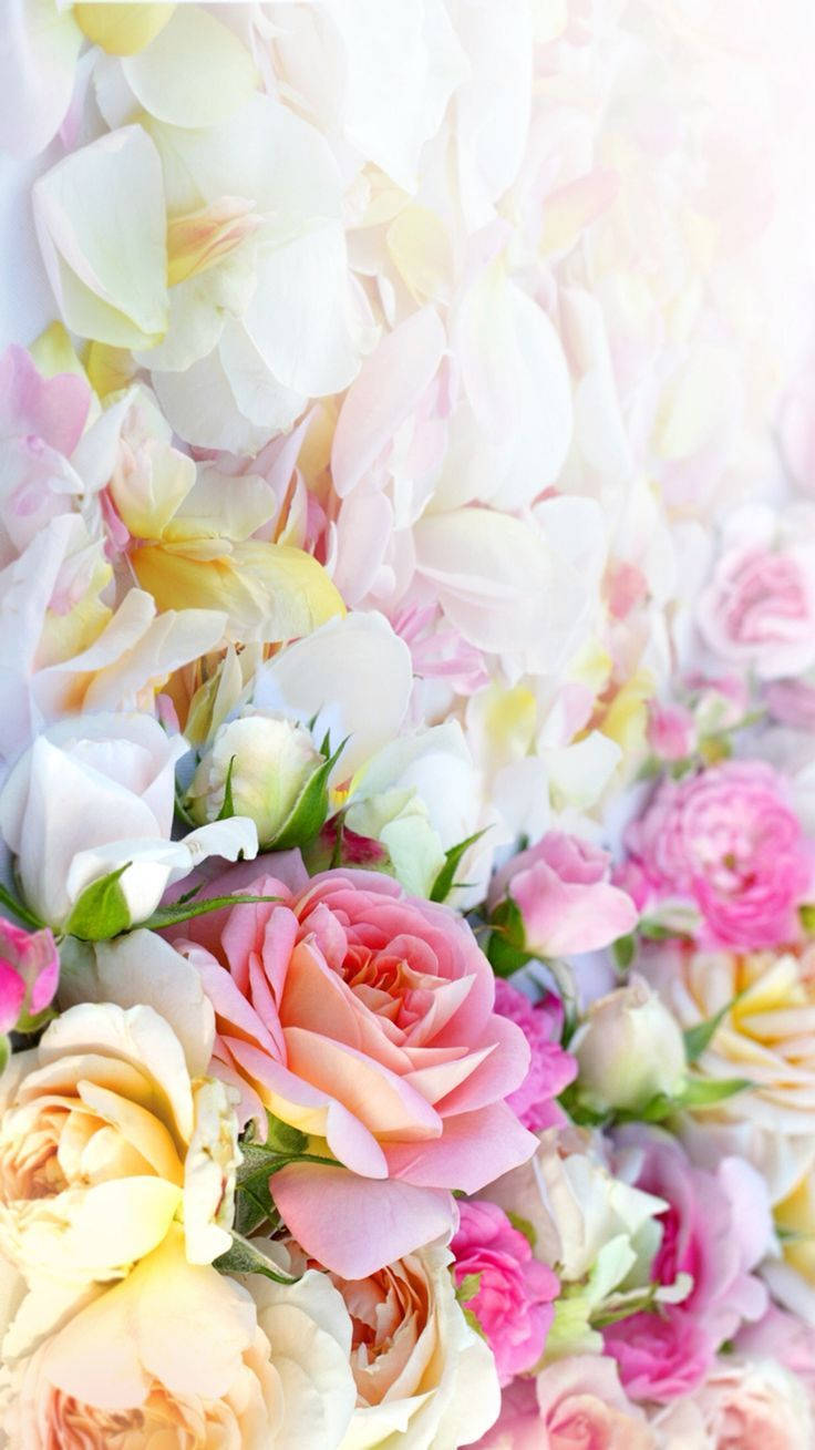 Pretty Phone Colourful Flowers Wallpaper