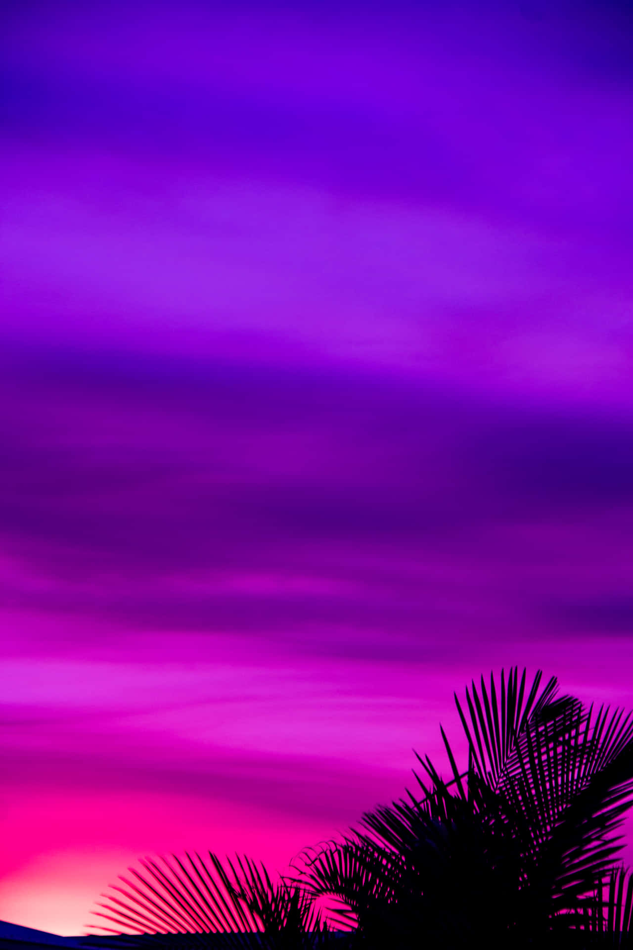 Pretty Purple Sky During Sunset Wallpaper