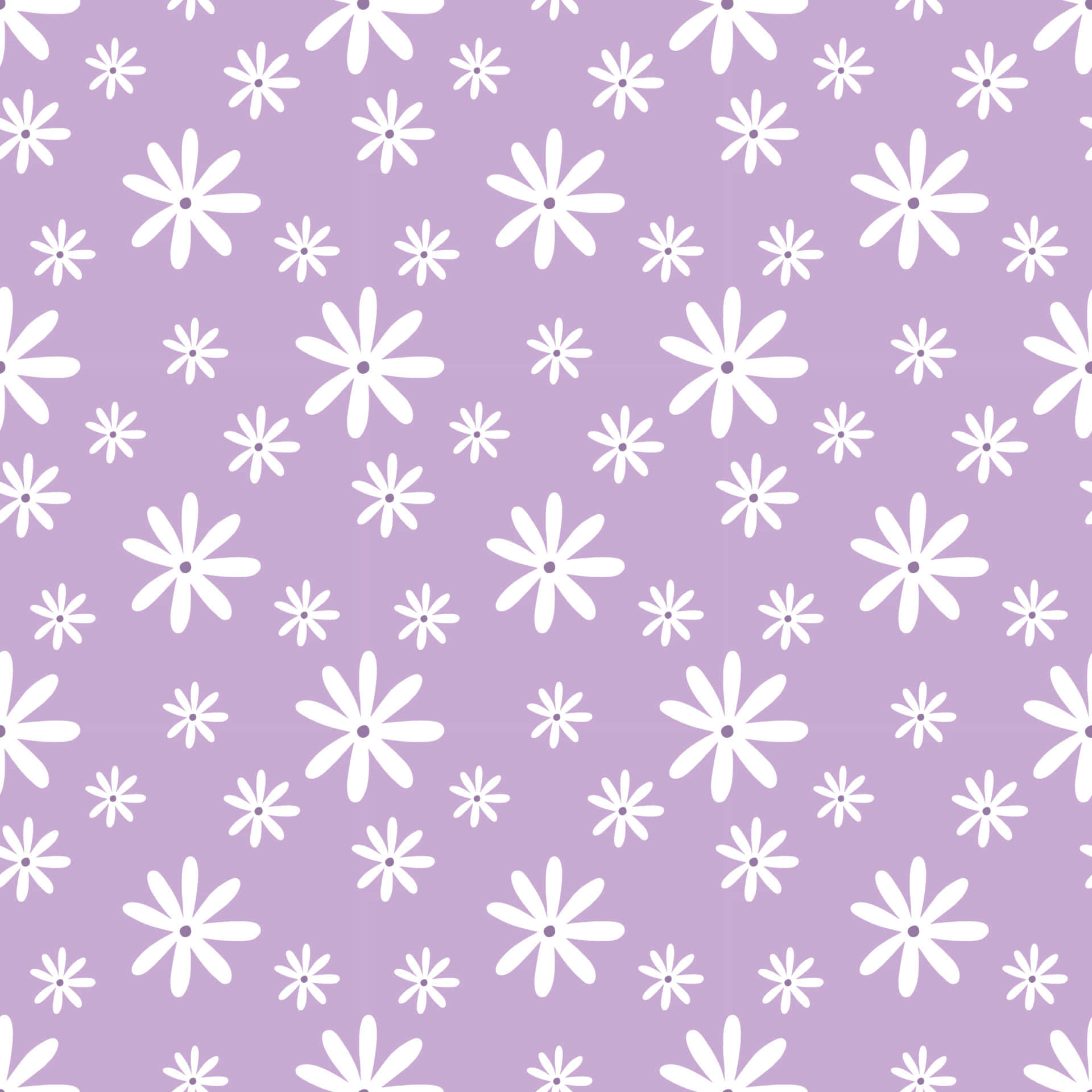 Pretty Purple Surface Covered With Daisies Wallpaper
