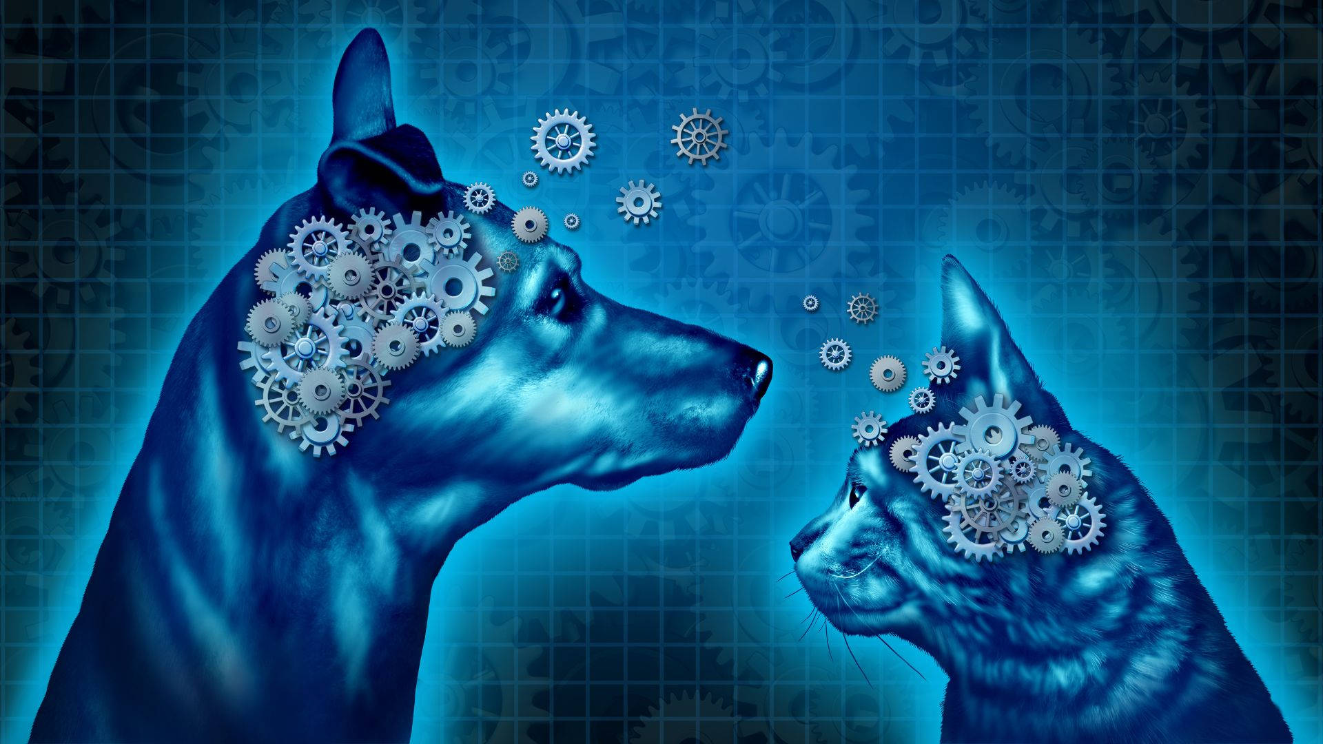 Psychology Dog Cat Mechanical Mind Wallpaper