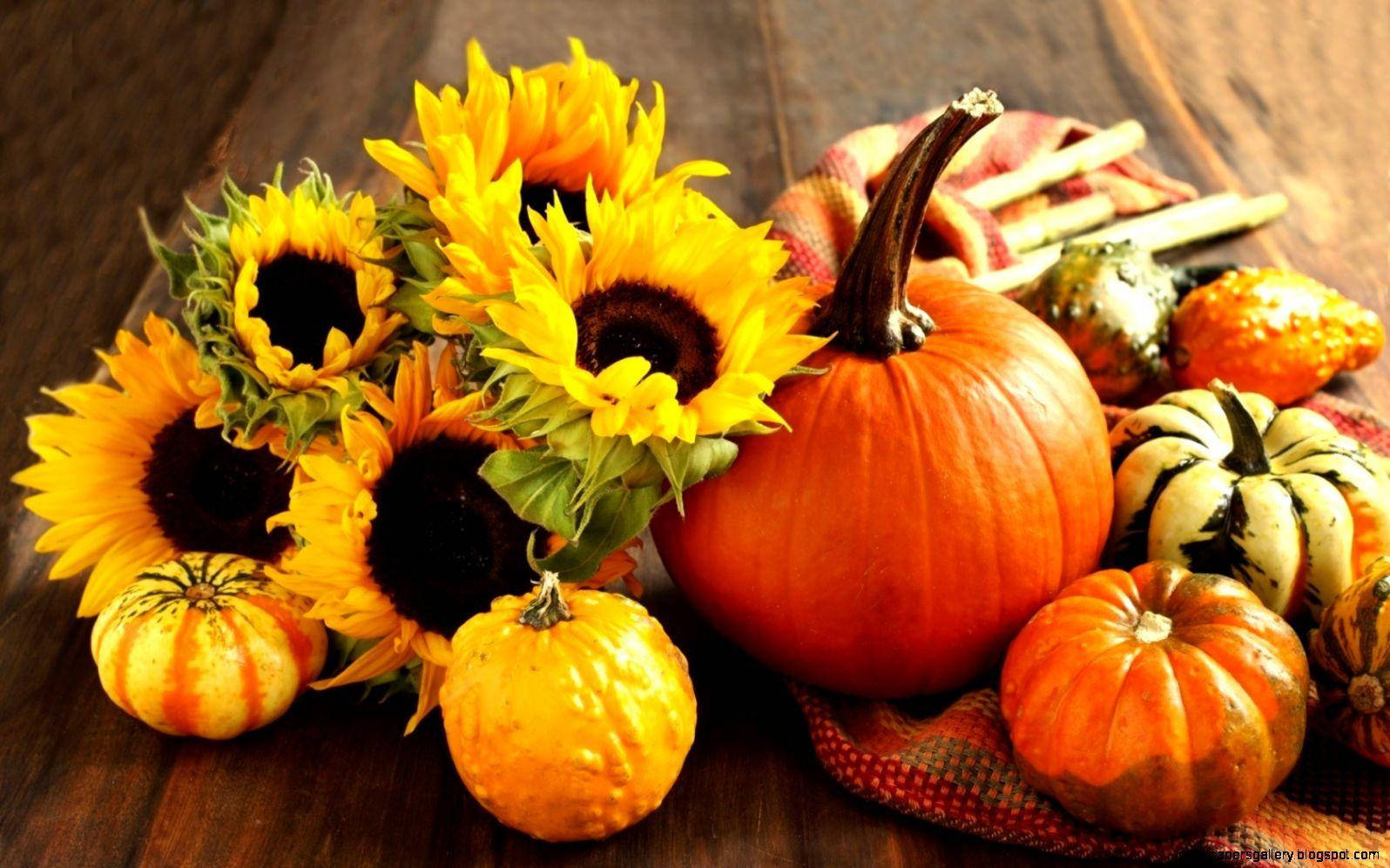 Pumpkins And Sunflowers Fall Halloween Wallpaper