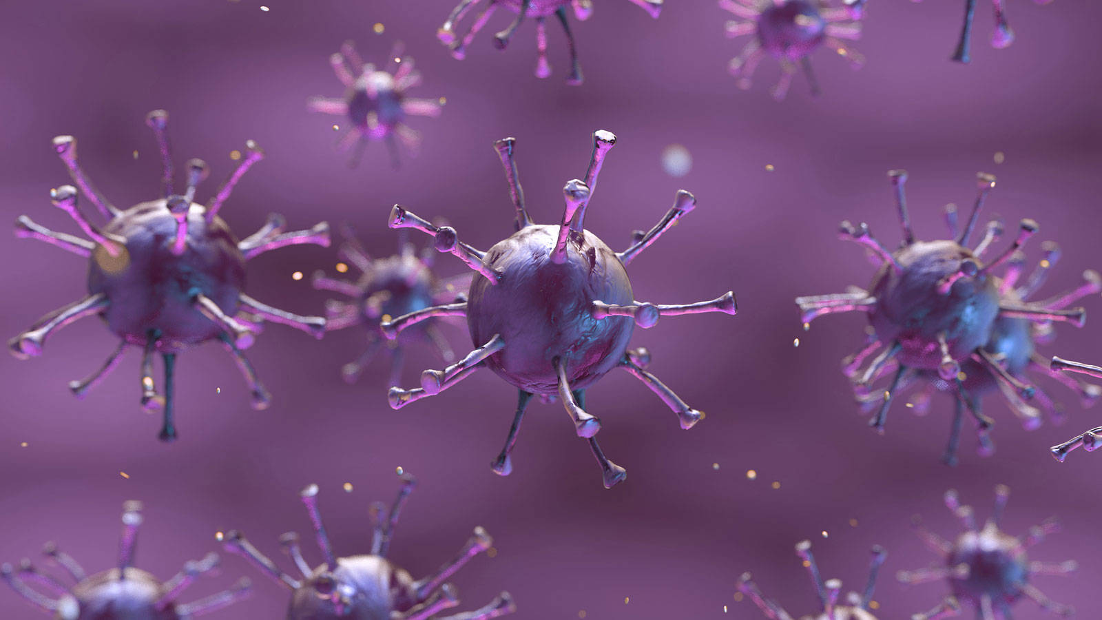 Purple Coronavirus Model Wallpaper