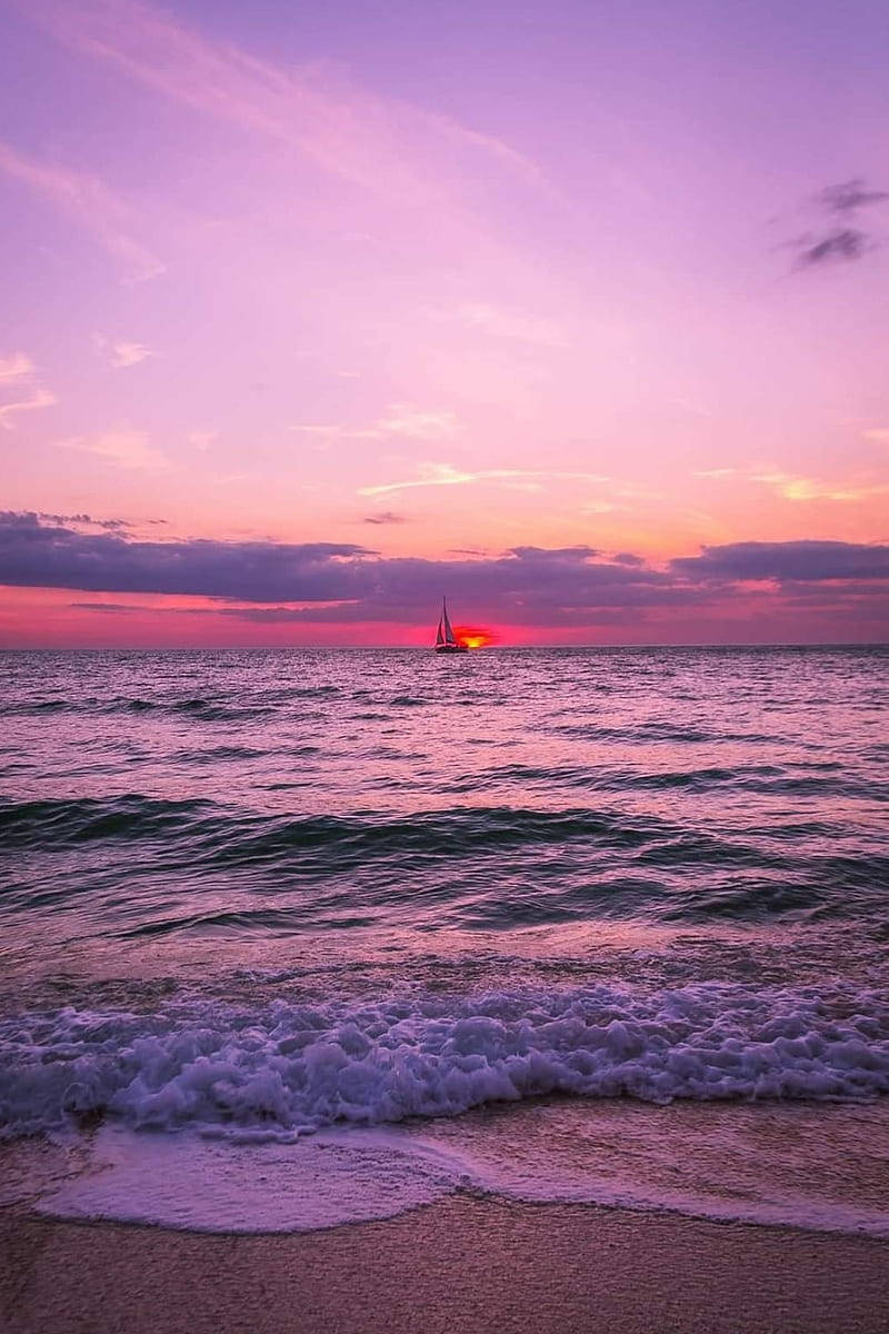 Purple Skies Florida Wallpaper