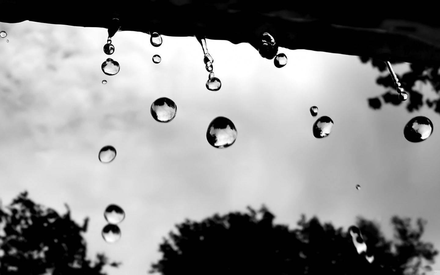 Raindrops Dripping From The Roof Low Angle Wallpaper