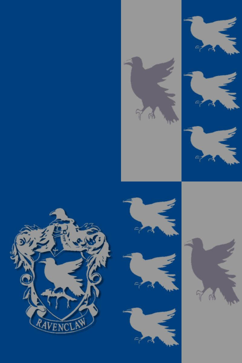 Ravenclaw Blue And Silver Flag Wallpaper