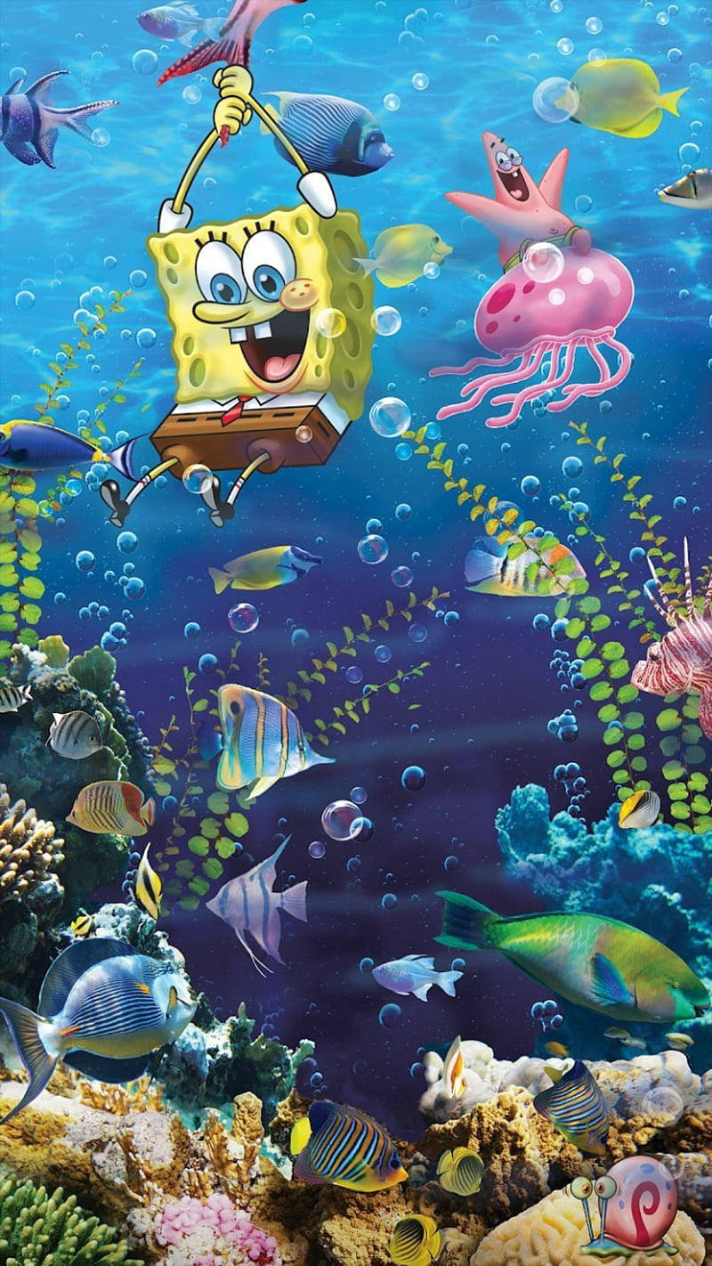 Realistic Spongebob And Patrick With Fishes Wallpaper