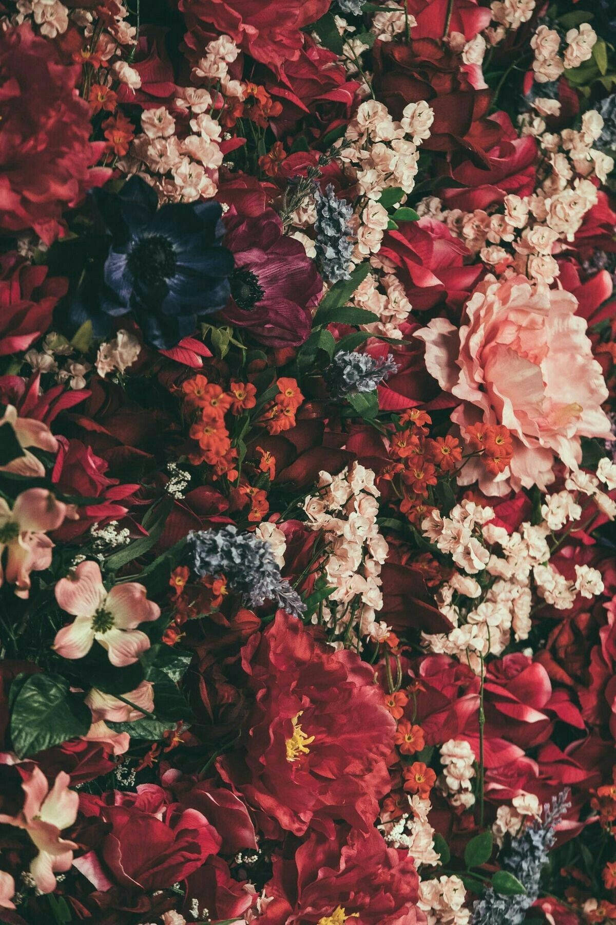 Red Aesthetic Floral Arrangement Wallpaper