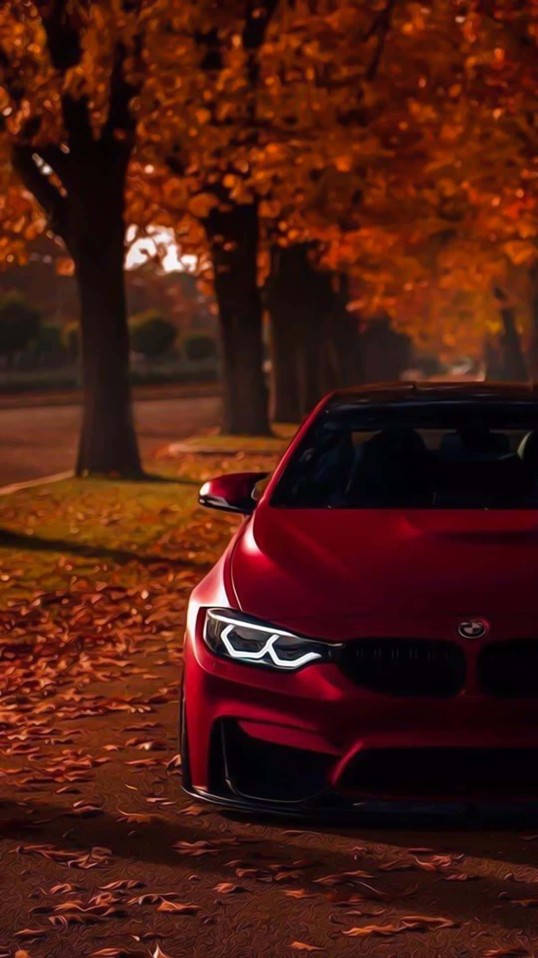 Red Bmw Expensive Parked Wallpaper