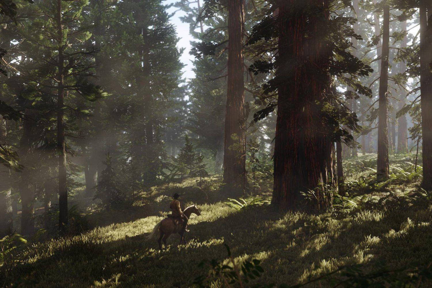 Red Dead Redemption 2 4k Forest Wallpaper