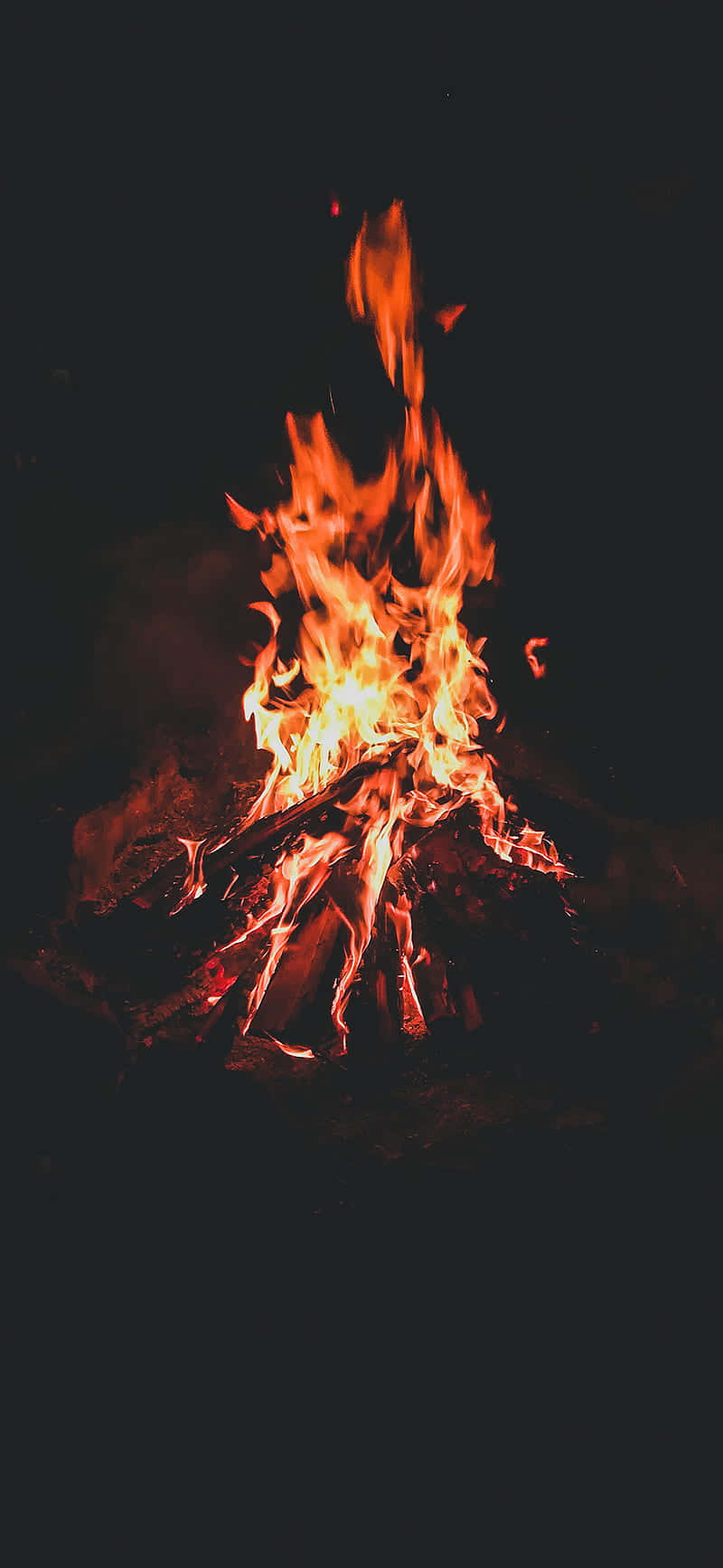 Red-orange Blazing Campfire Wallpaper