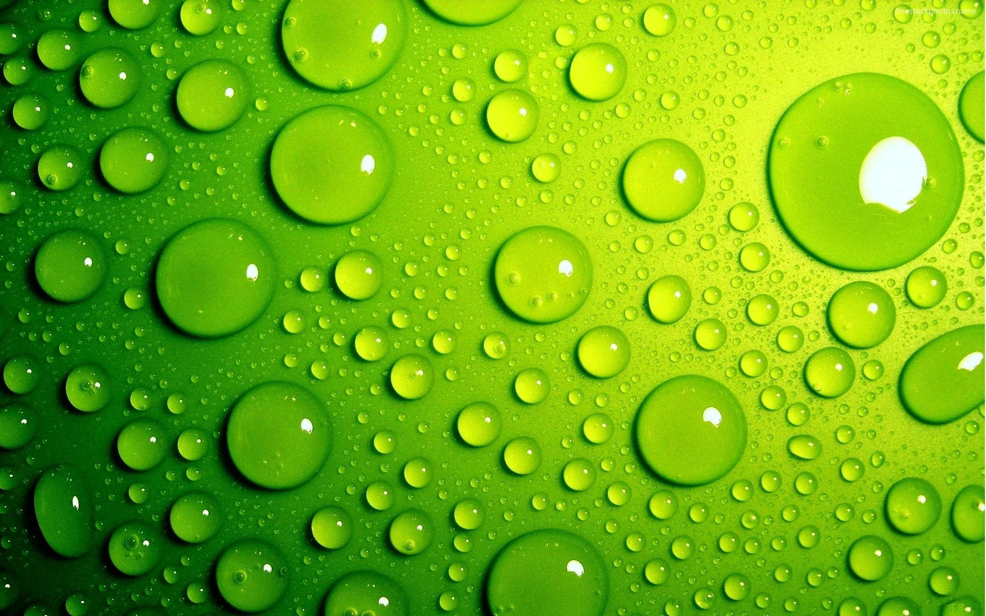Reflection Of Green In Aqueous Droplets Wallpaper