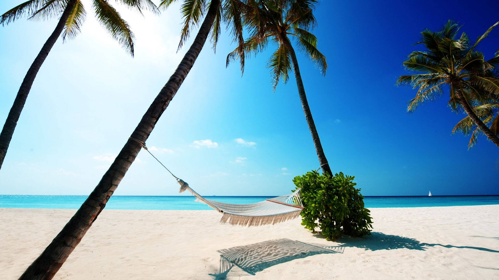 Relaxing In A Hammock And Taking In The Amazing View Of The Summer Beach Wallpaper