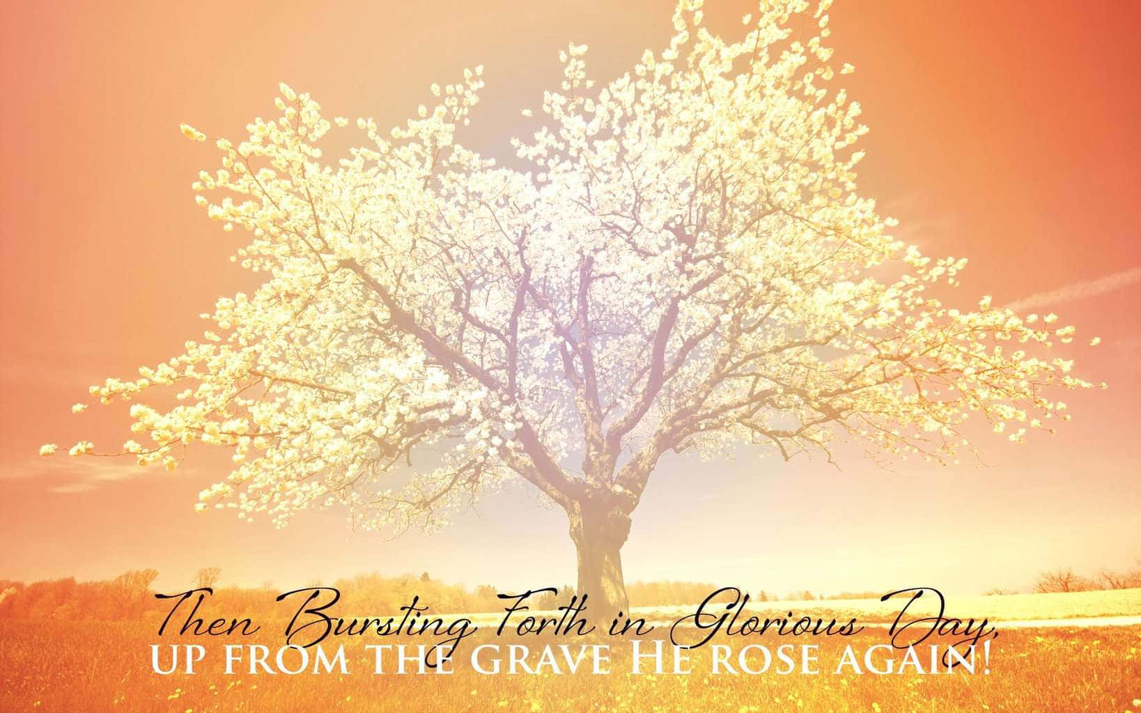 Religious Easter Bible Verse Wallpaper