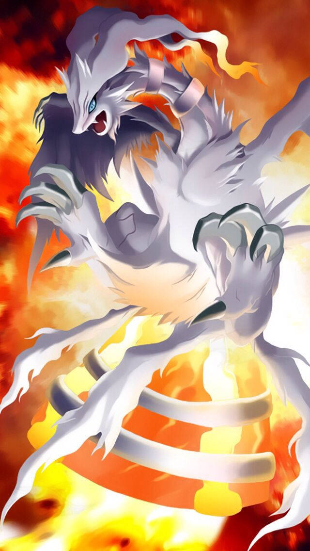 Reshiram Surrounded By Fire Wallpaper