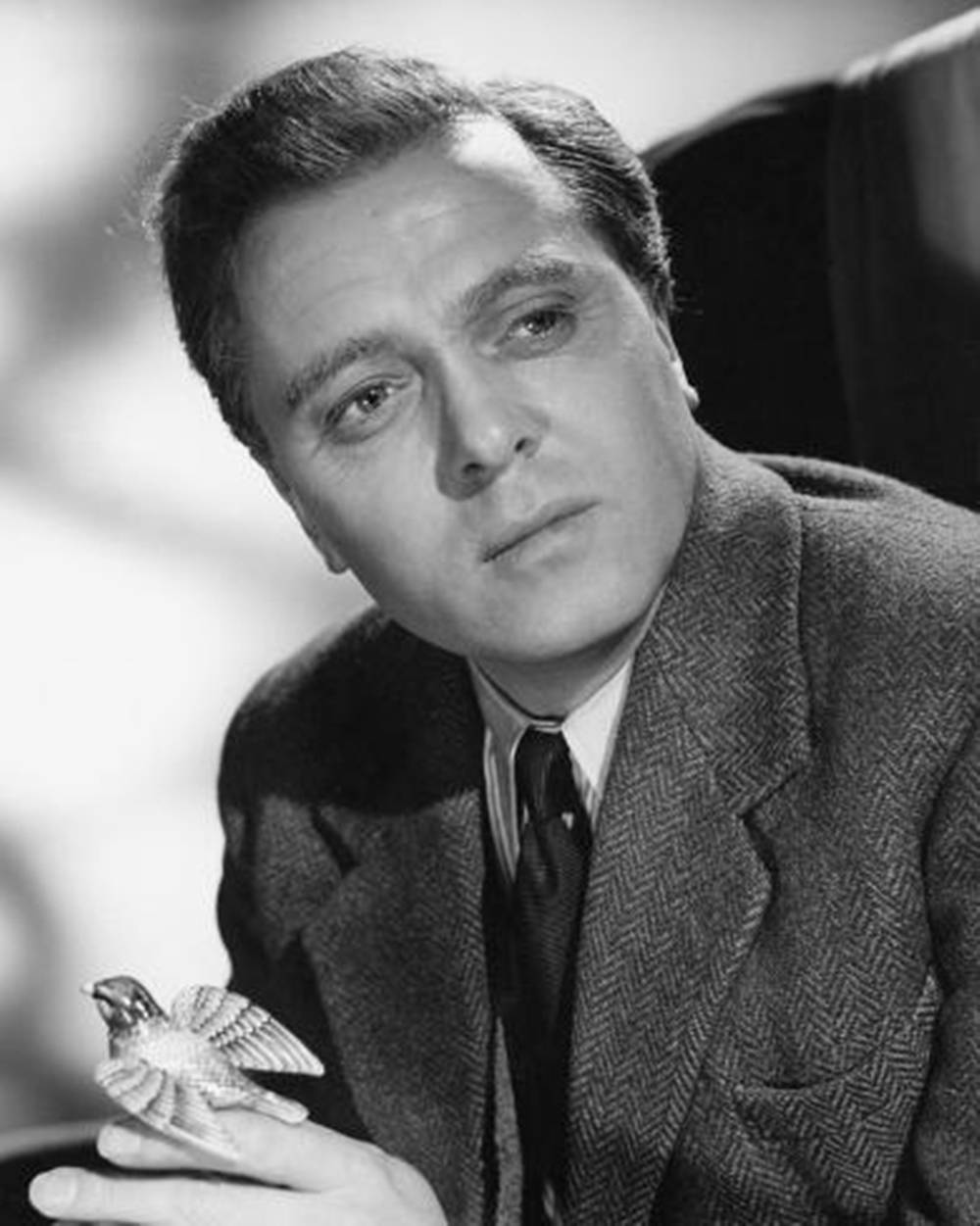 Richard Attenborough Black And White With Bird Wallpaper