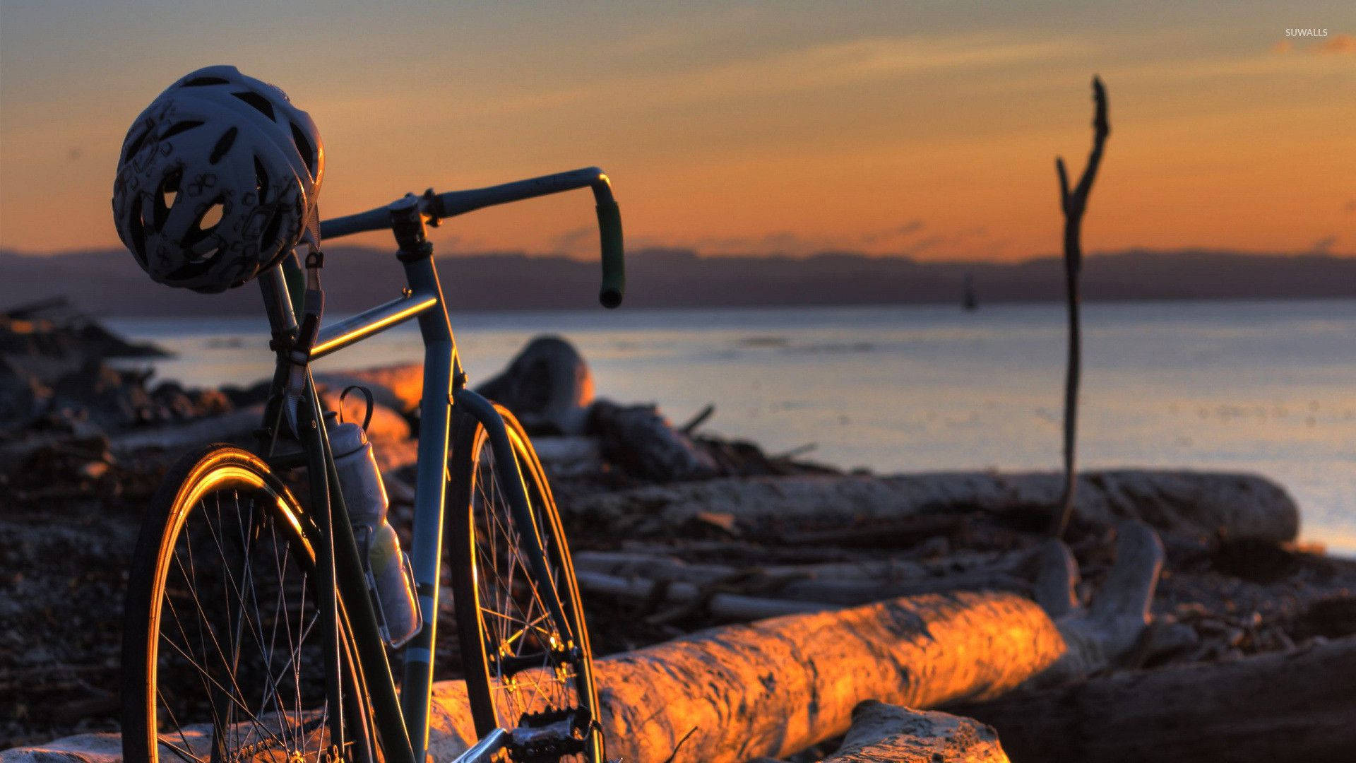 Road Bike In Seashore Fallen Tree Wallpaper