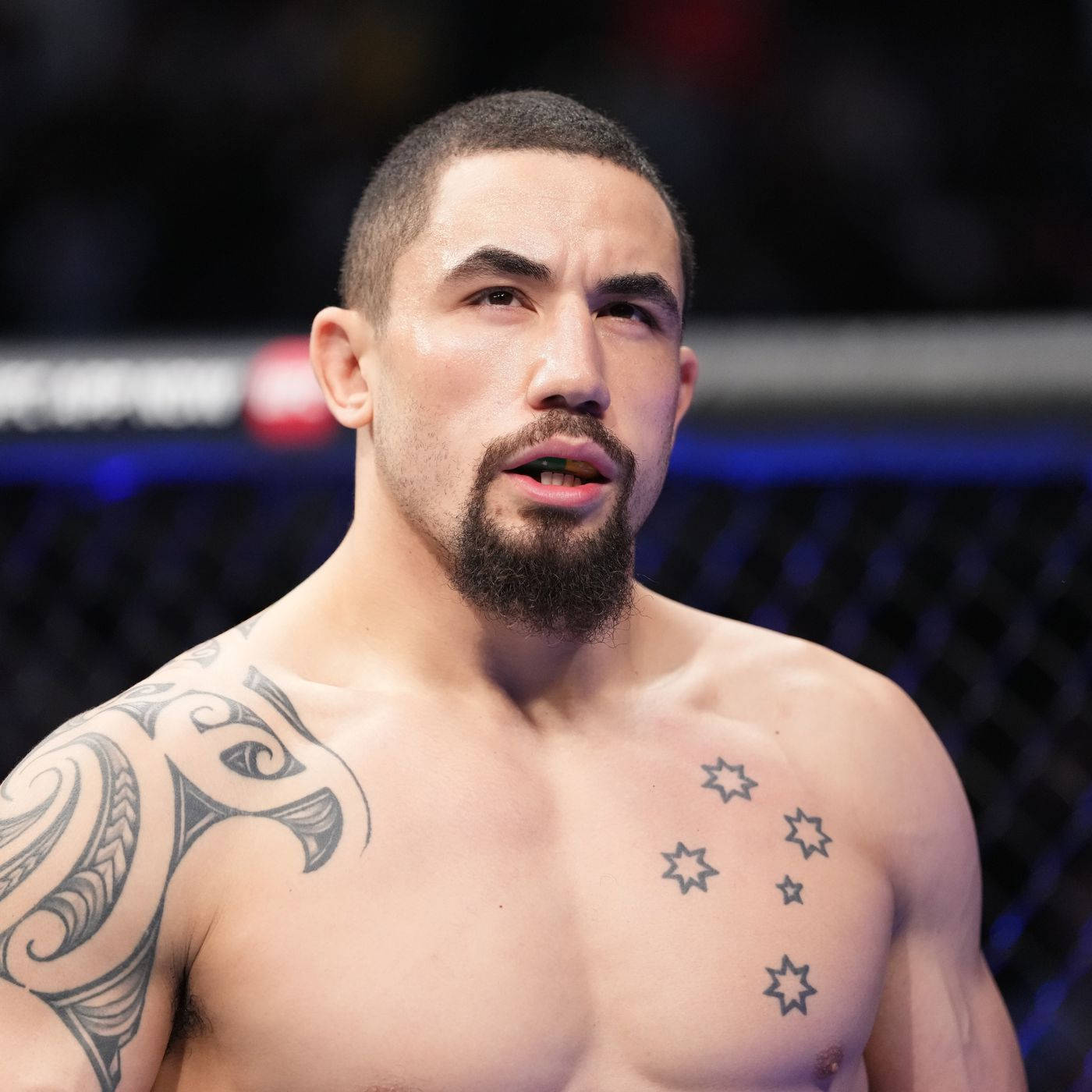 Robert Whittaker Portrait Photo Wallpaper