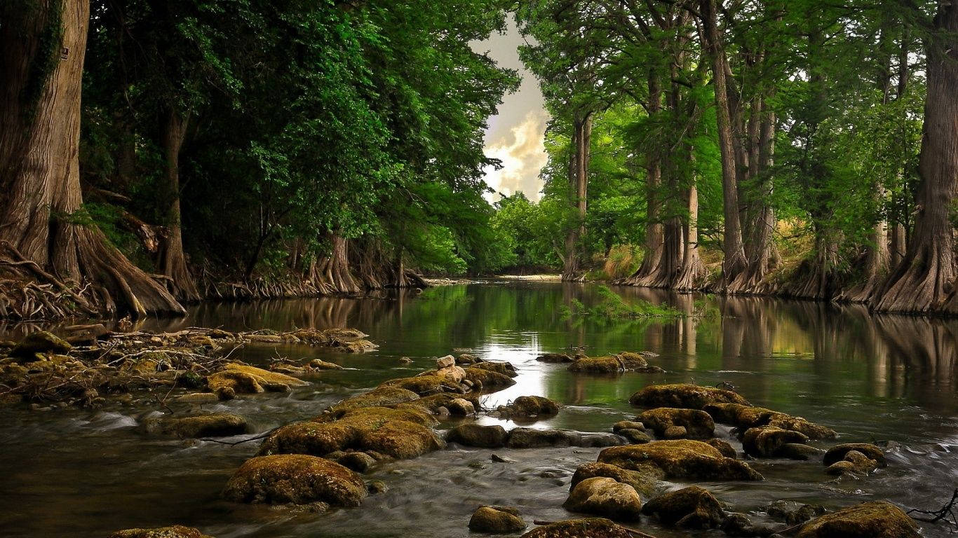 Rocky Forest River Wallpaper
