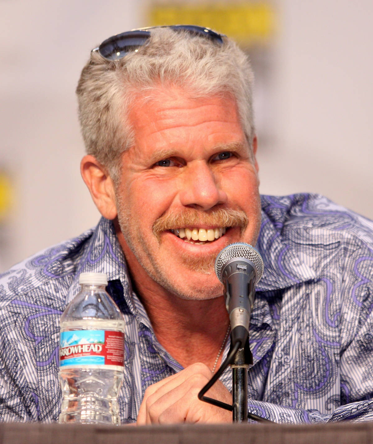 Ron Perlman On A Fan Meeting Wallpaper