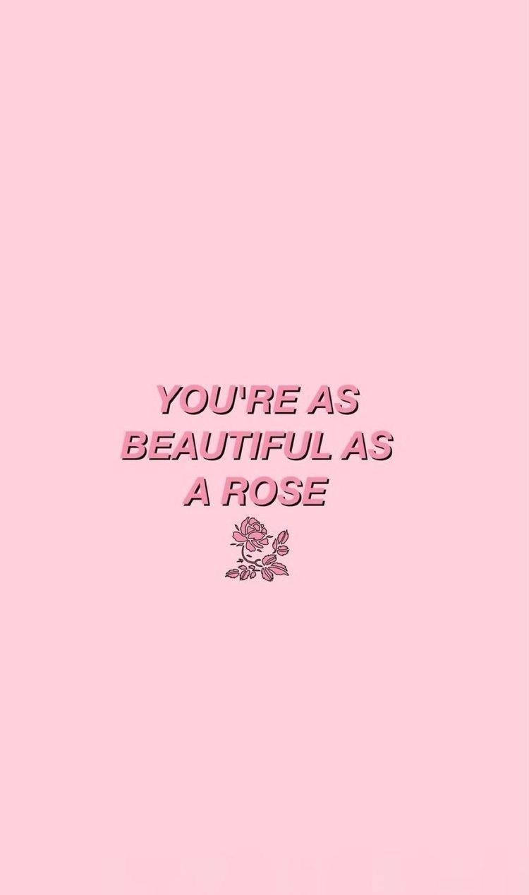 Rose And Quote Pink Aesthetic Wallpaper