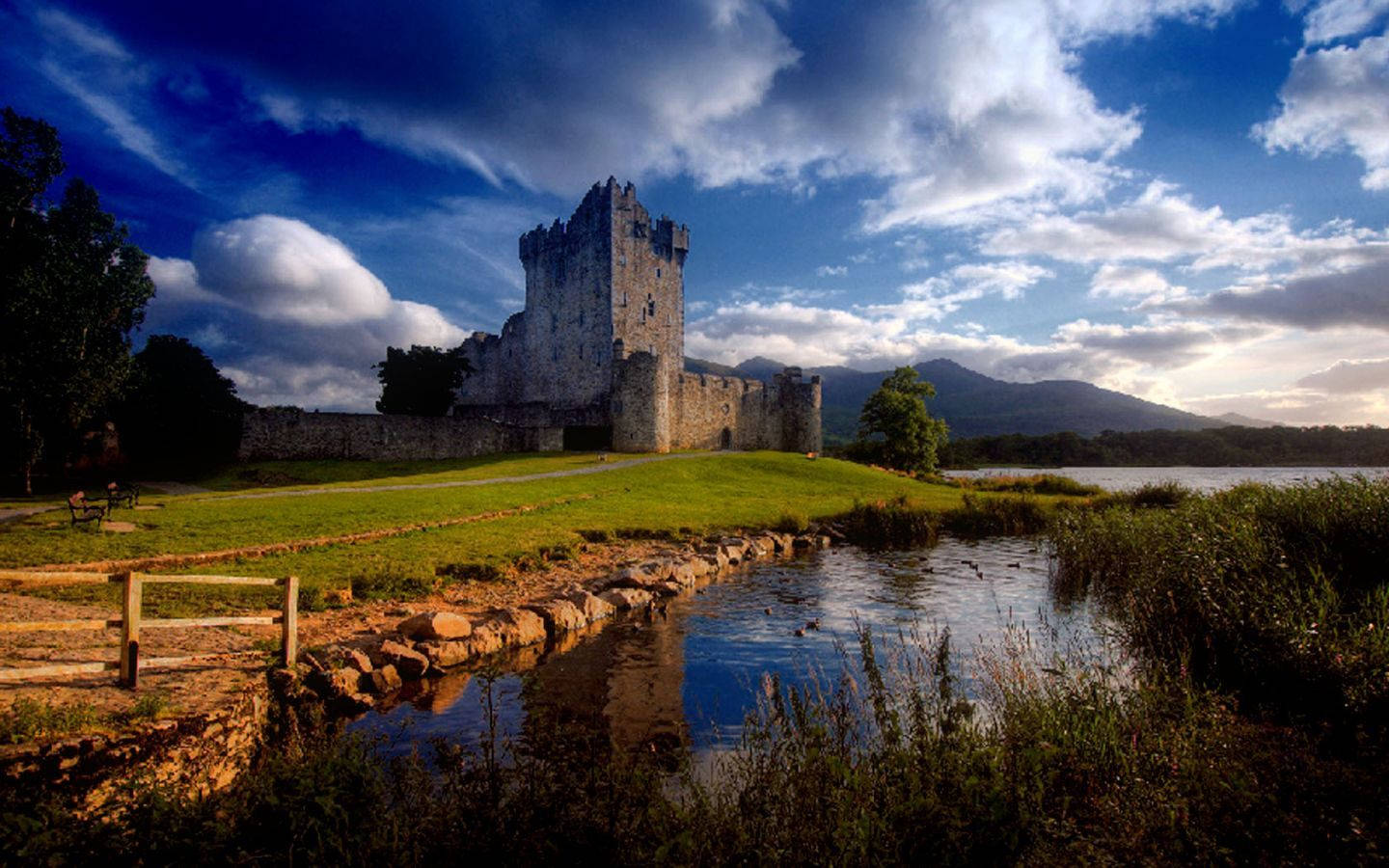 Ross Castle In Ireland Wallpaper