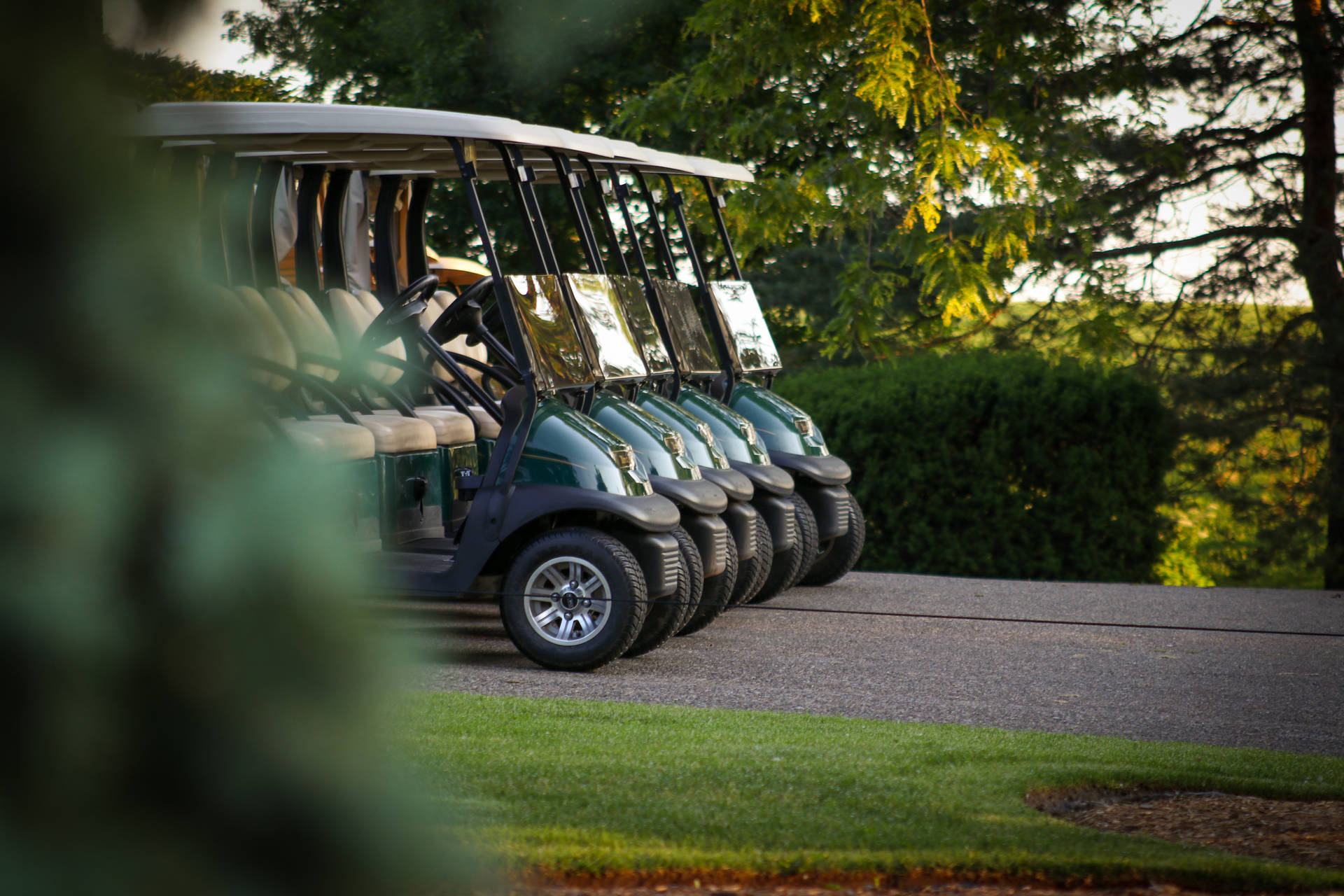 Row Of Golf Course Carts Wallpaper
