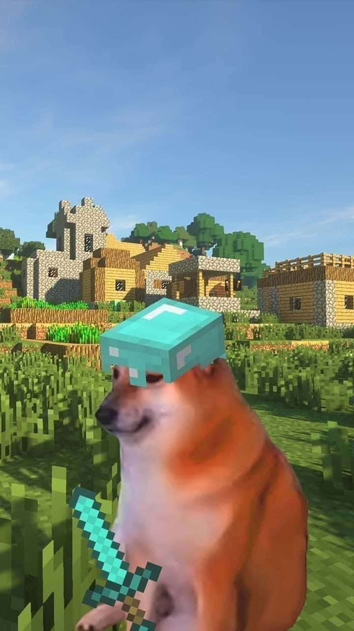 Sad Dog Meme Iphone Wallpaper