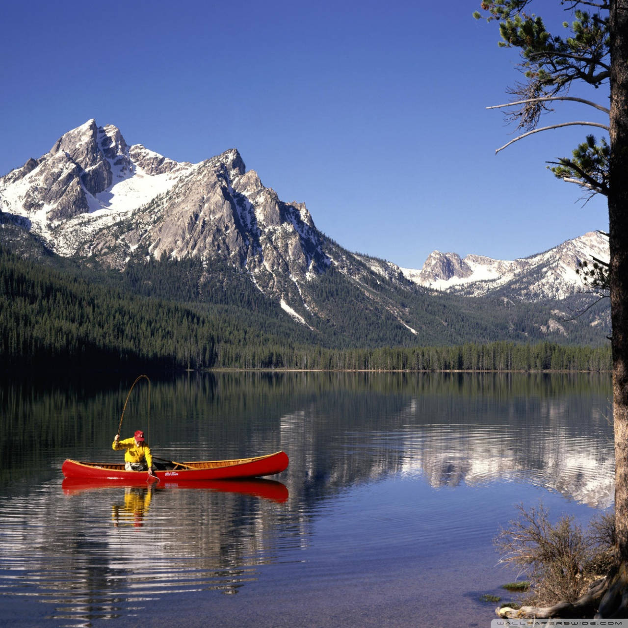 Sailboat In Idaho's Lake Wallpaper