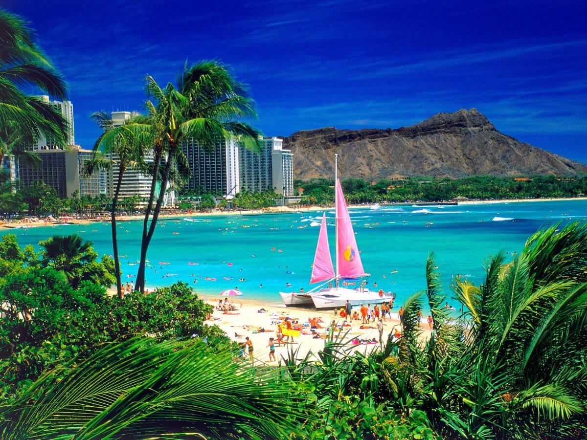 Sailboat On Oahu Beach Wallpaper