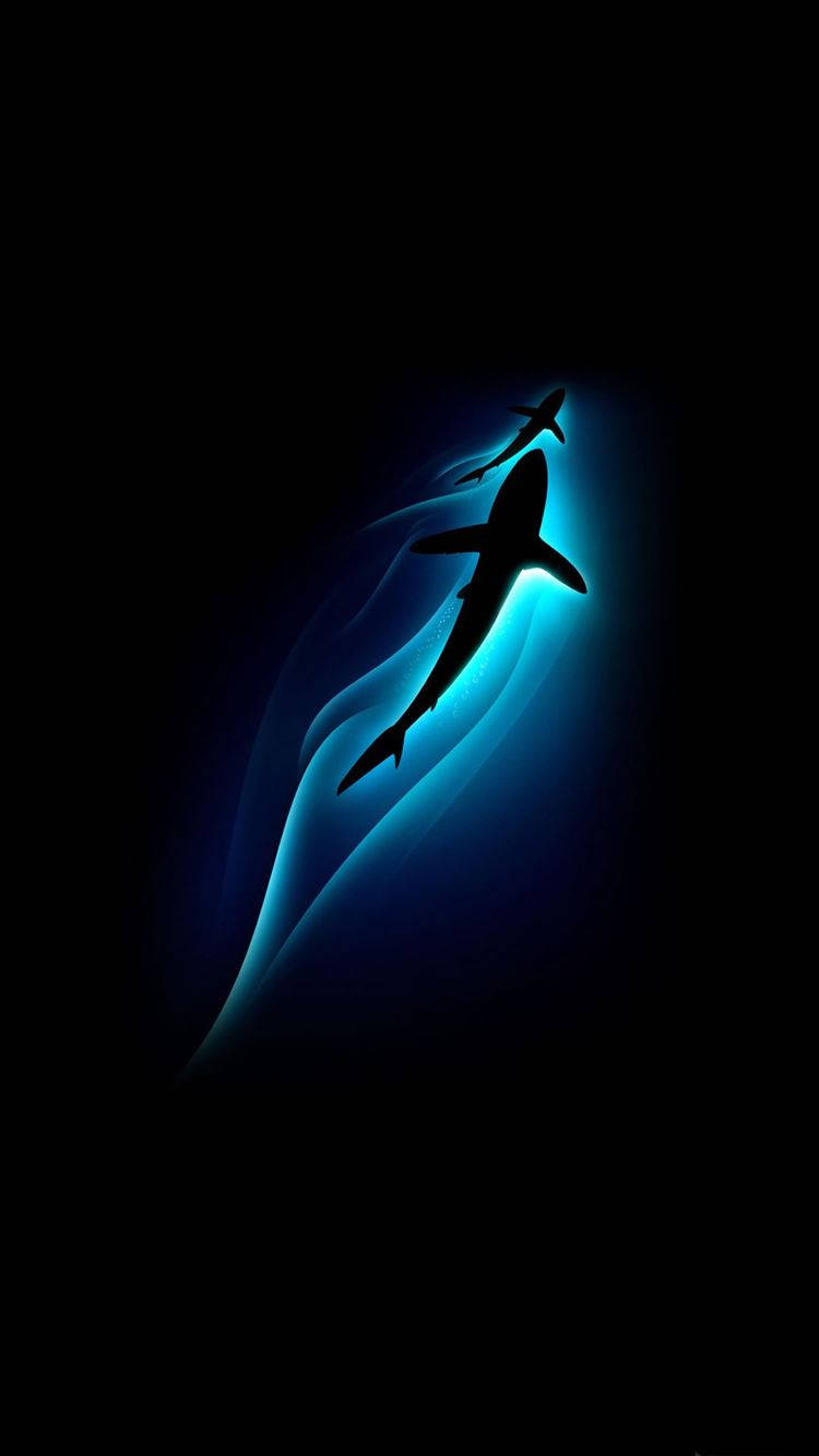 Samsung Galaxy S6 Edge Shark Art Wallpaper