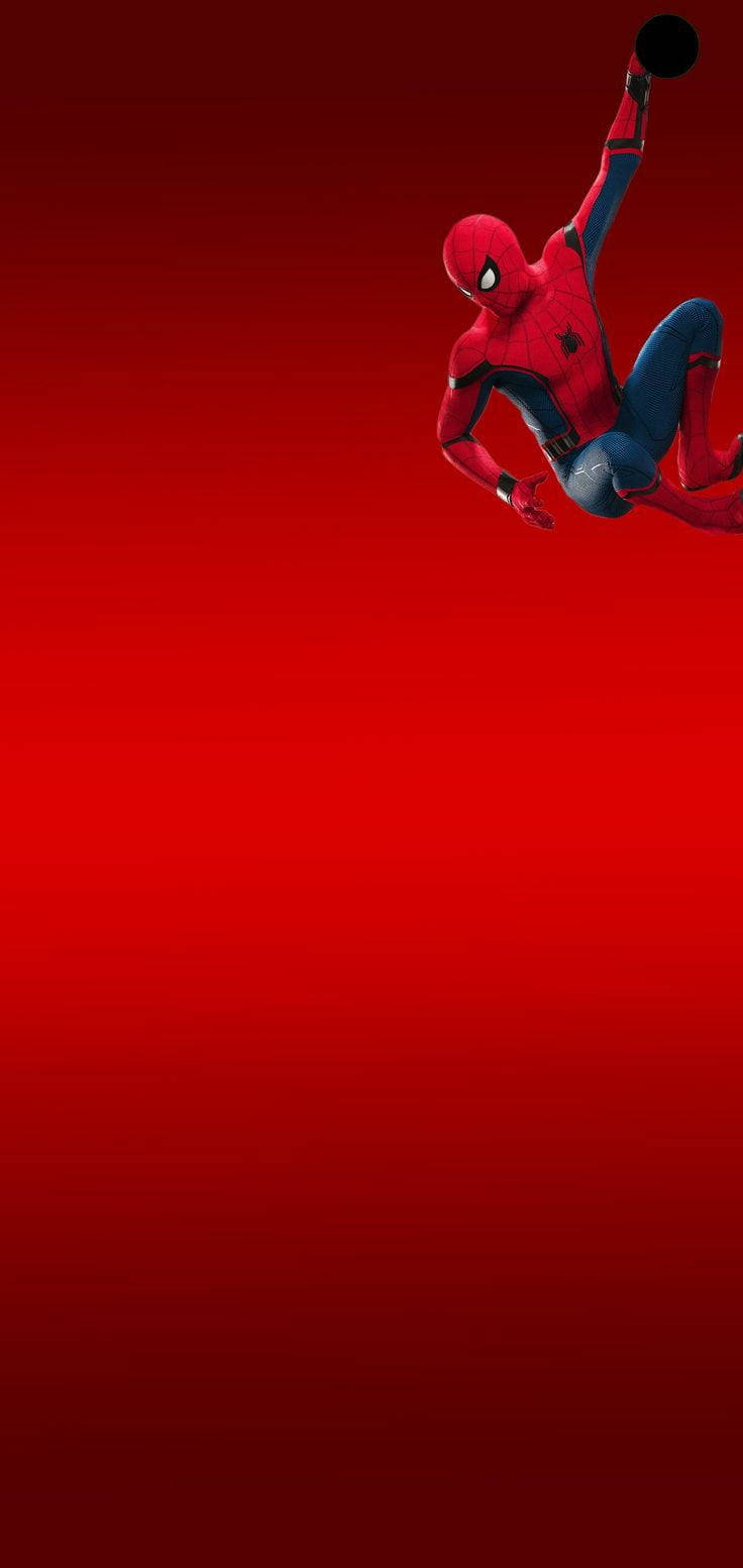 Samsung S10 Amazing Spider-man Wallpaper