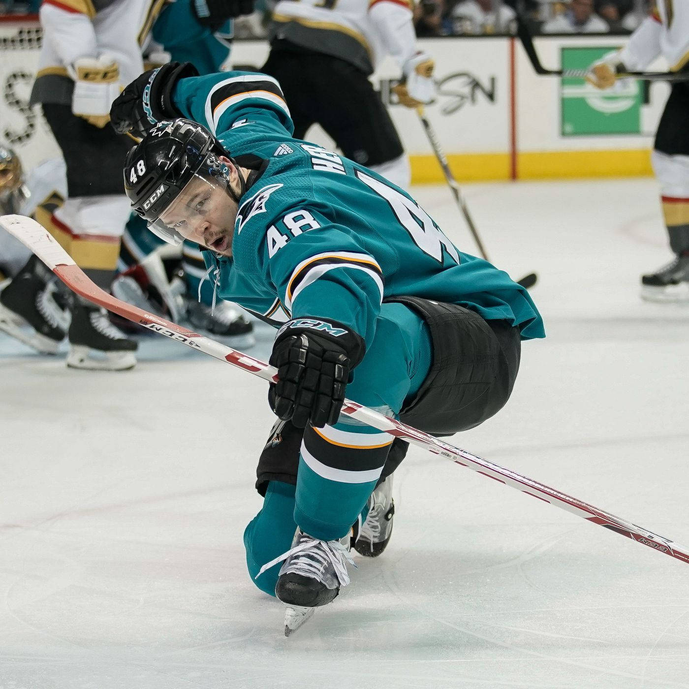 San Jose Shark Player Tomas Hertl Wallpaper