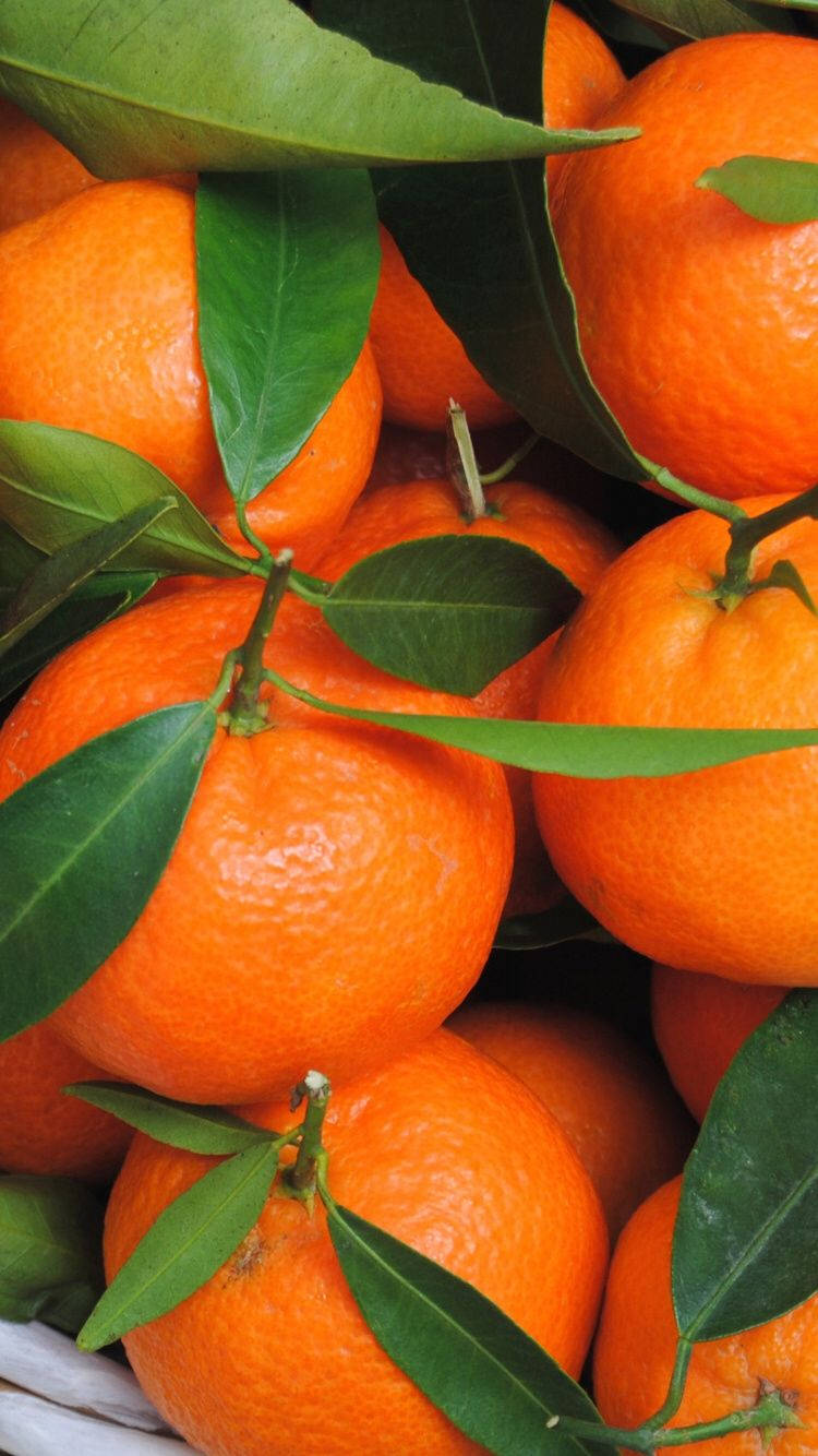 Satsuma Mandarin Fruit Wallpaper