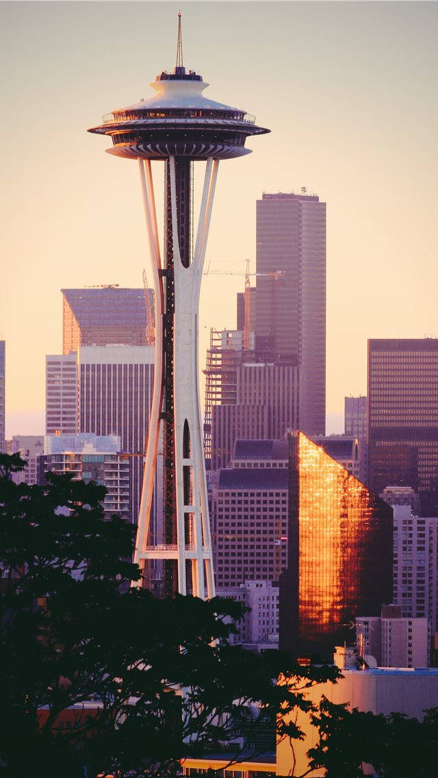 Seattle Iphone Observation Deck Wallpaper