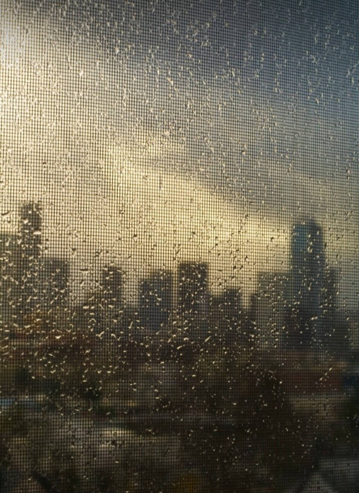 Seattle Rain On Textured Glass Wallpaper