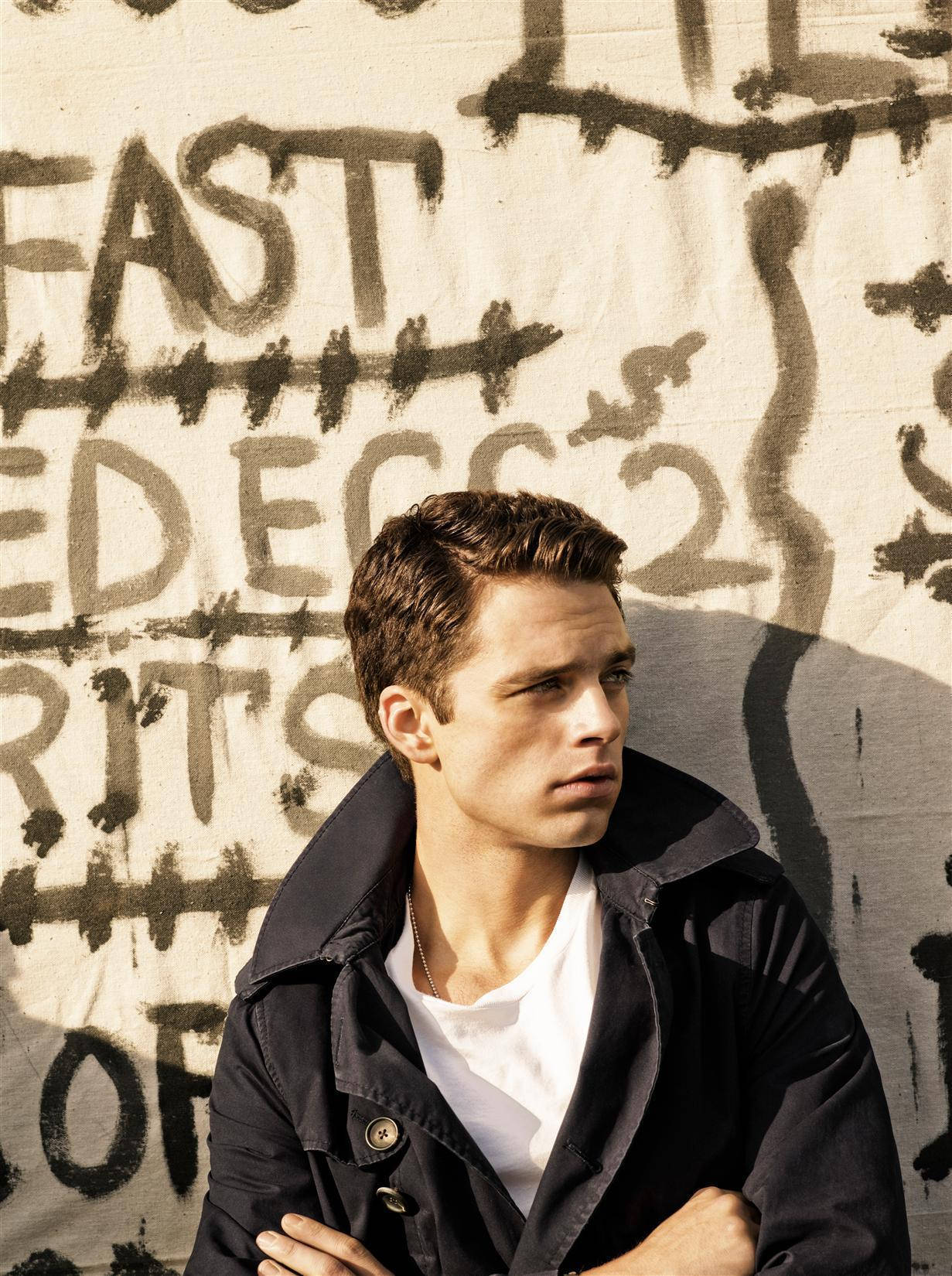 Sebastian Stan Celebrity Wallpaper