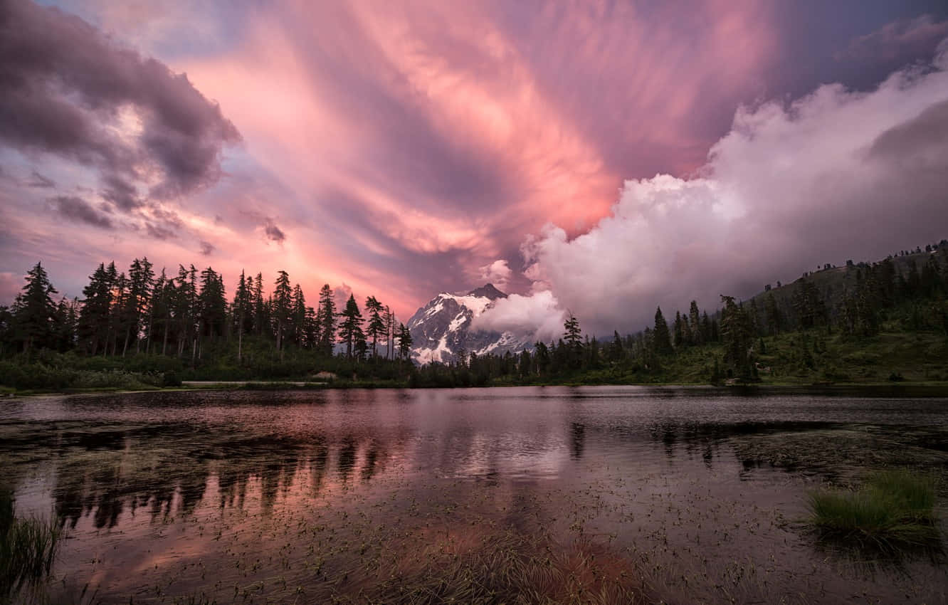 Shallow Lake Scenery Wallpaper