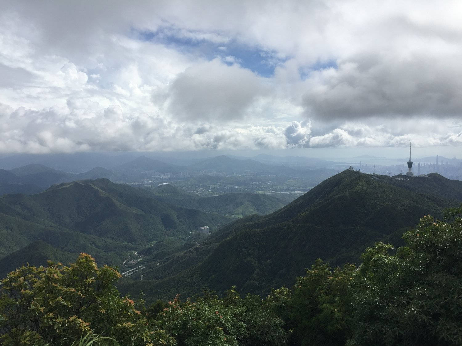 Shenzhen Wutong Mountain Wallpaper