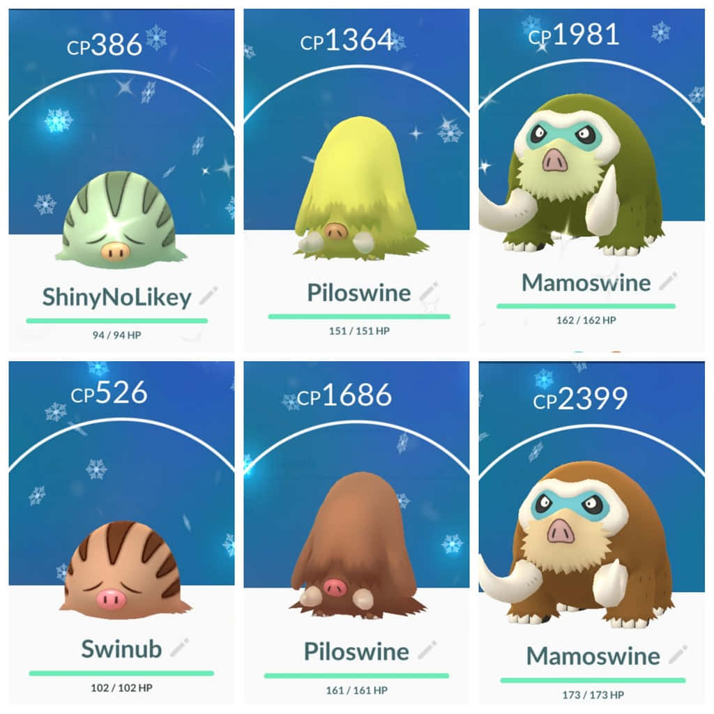 Shimmering Shiny Swinub Evolution Line In Pokemon Go Wallpaper