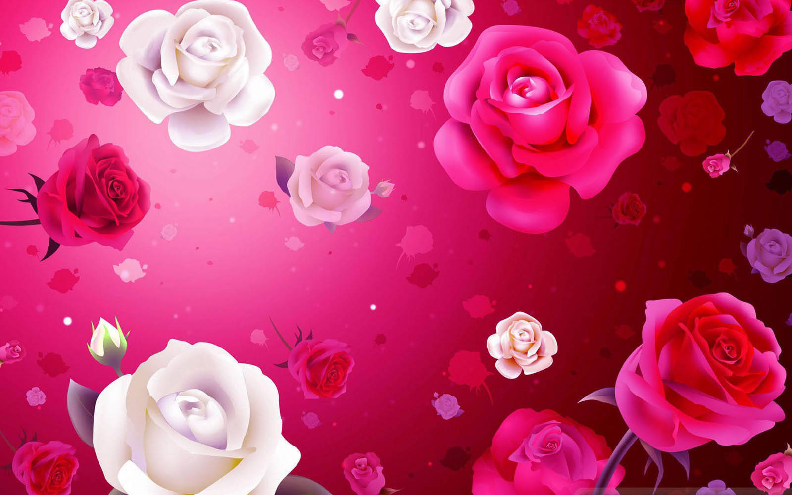 Show Your Love This Valentine's Day With Colorful Roses Wallpaper