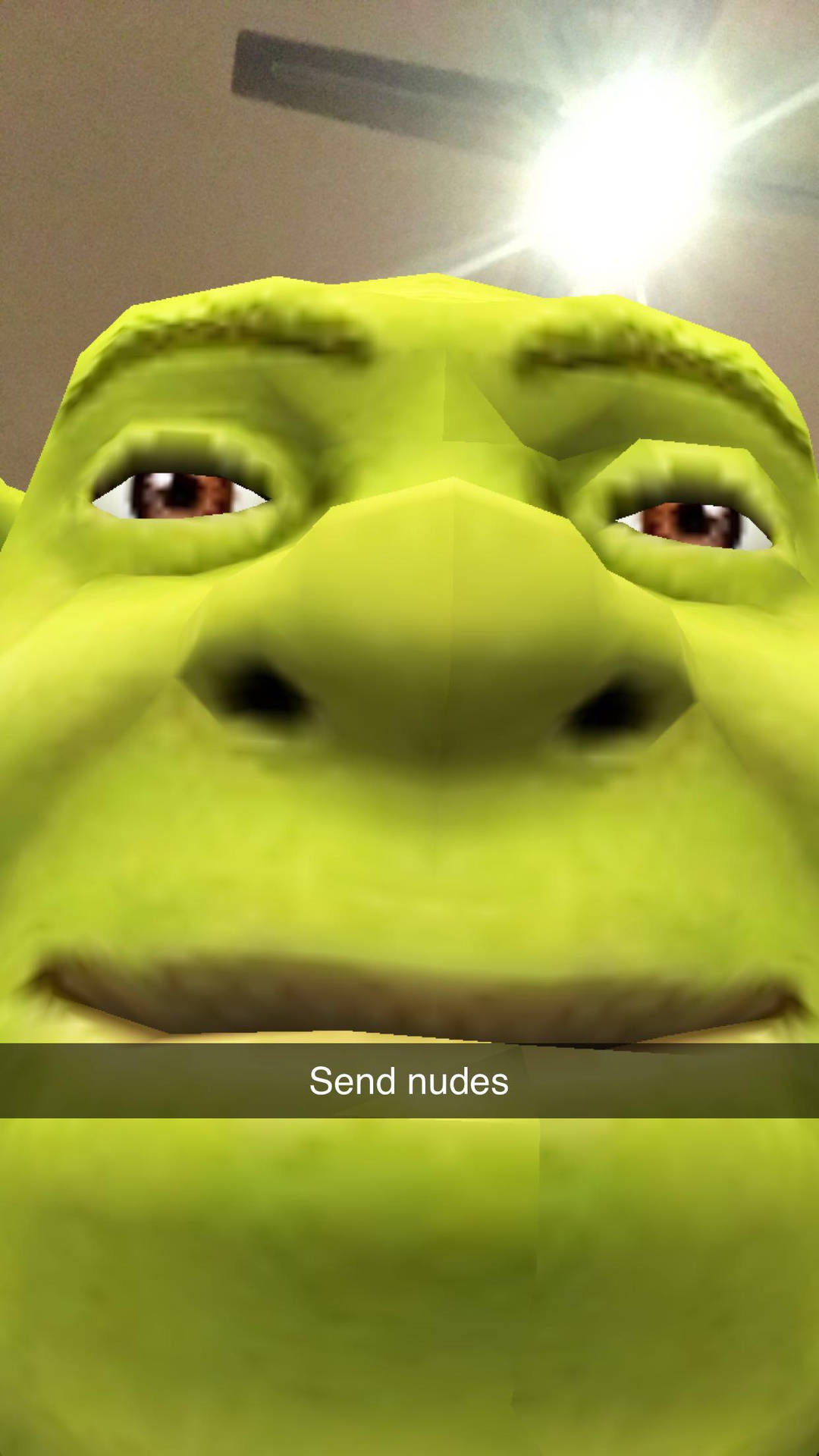 Shrek Nudes Meme Pfp Wallpaper | WallpapersOK, image size:1080x1920