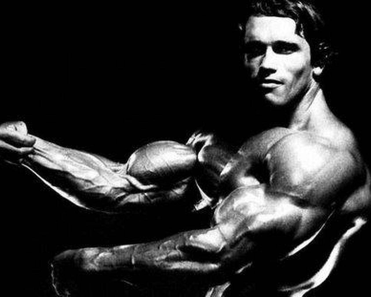 Side View Of Arnold Schwarzenegger Wallpaper