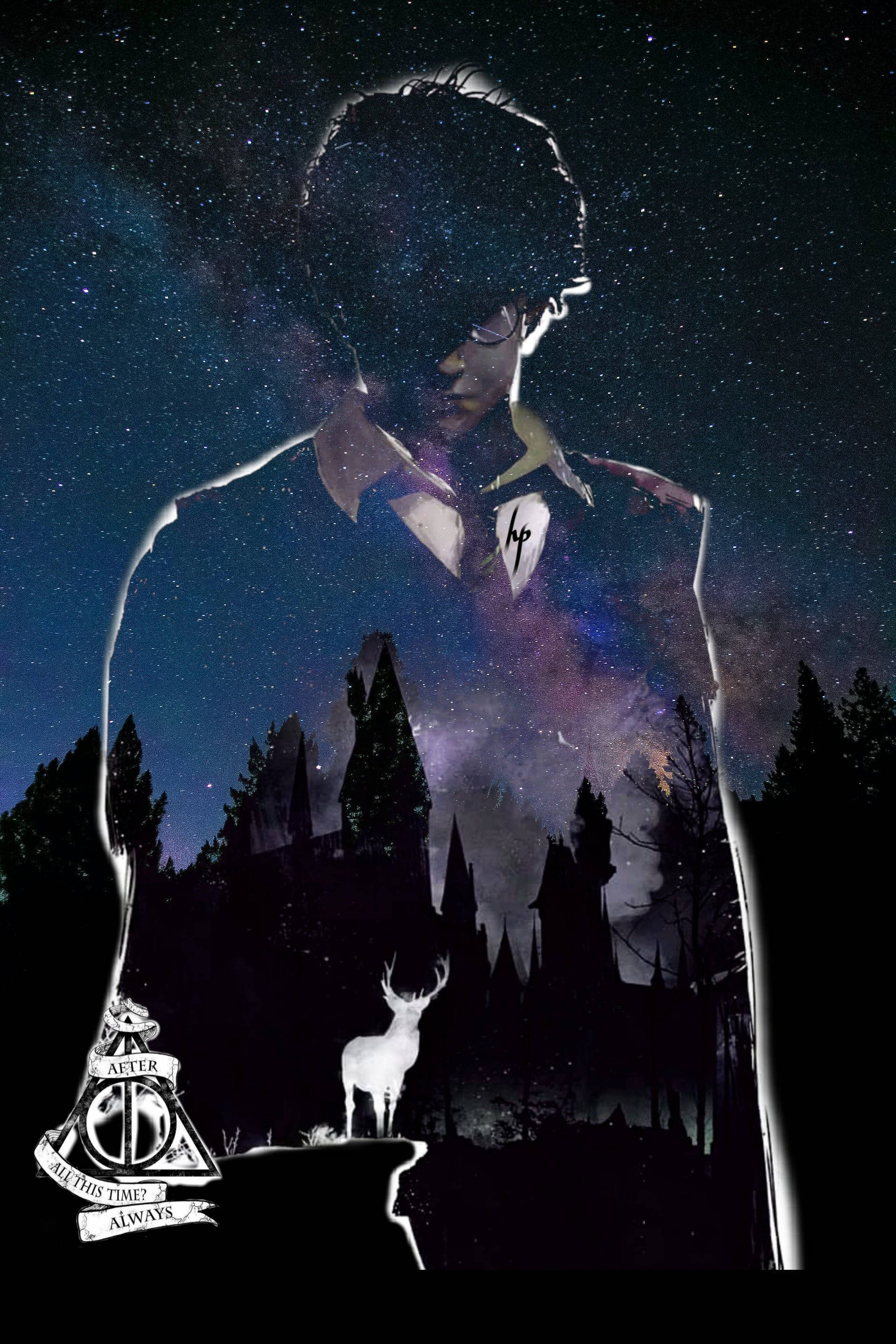 Silhouette Harry Potter Hogwarts Iphone Wallpaper